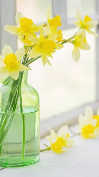 Flores de primavera en el alféizar de la ventana —  Fotos de Stock