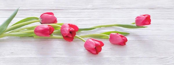 Tulipanes rosados sobre fondo de madera blanco —  Fotos de Stock