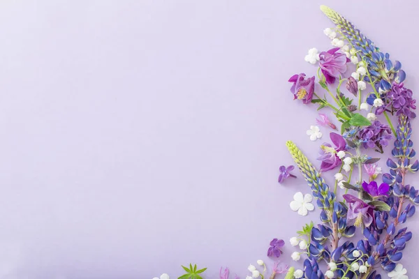 Púrpura, azul, flores rosadas sobre fondo de papel — Foto de Stock
