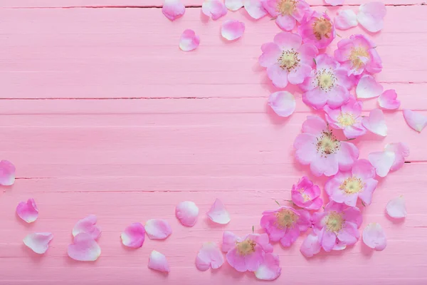 Marco de rosas rosadas sobre fondo de madera rosa — Foto de Stock