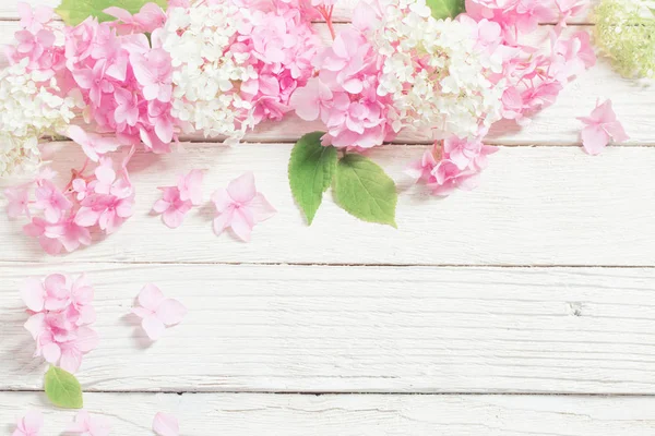 Hortensias rosadas sobre fondo blanco de madera —  Fotos de Stock