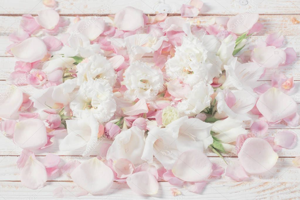 pink and white flowers on white wooden background