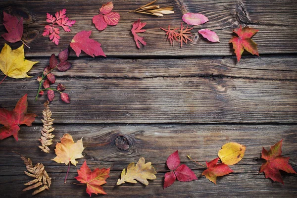 Hojas de otoño sobre darrk viejo fondo de madera — Foto de Stock