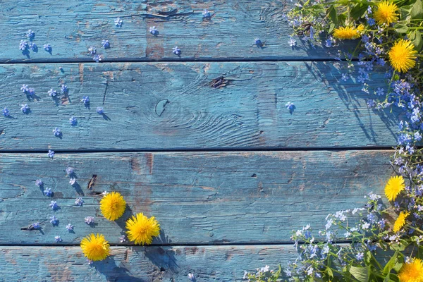 Fiori blu e gialli su sfondo vecchio di legno — Foto Stock