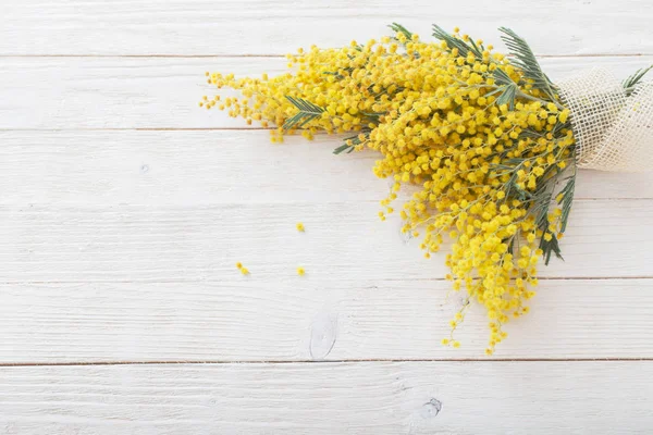 Mimosa su sfondo bianco in legno — Foto Stock