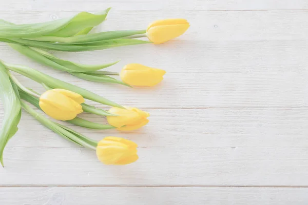 Žluté tulipány na bílém pozadí dřevěná — Stock fotografie