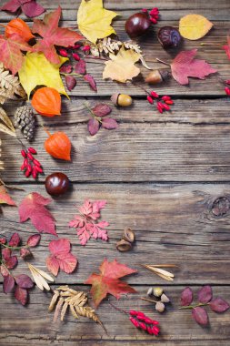 Karanlık eski ahşap arka planda sonbahar yaprakları 