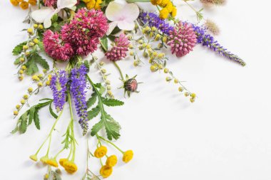 beyaz kağıt arka plan üzerinde kır çiçekleri 