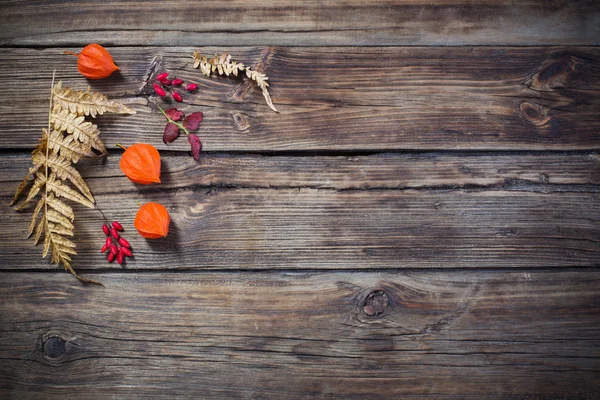 Hojas de otoño sobre darrk viejo fondo de madera — Foto de Stock