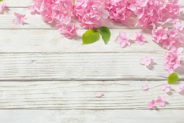 Hortensias rosadas sobre fondo blanco de madera — Foto de Stock