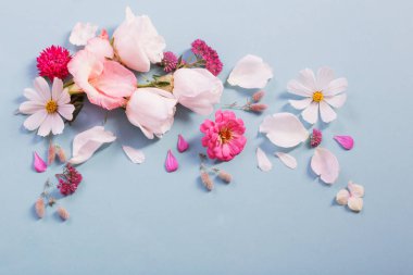 yaz çiçekleri mavi kağıt arka planda