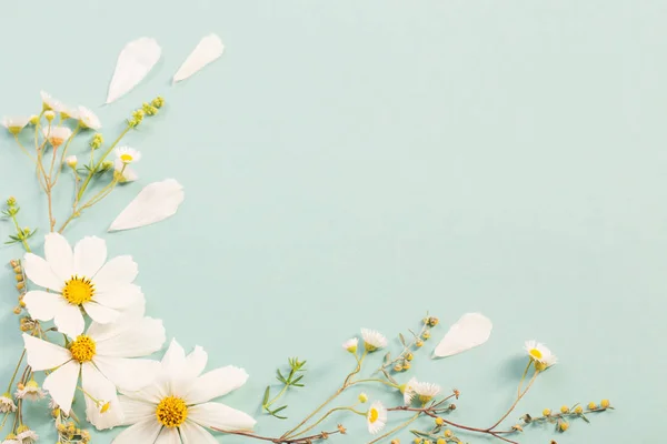 Белые цветы на бумажном фоне — стоковое фото