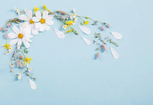 Bílé květiny na pozadí papíru — Stock fotografie