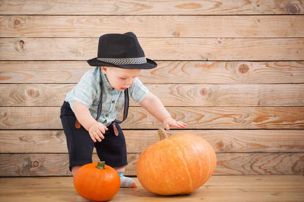 Ребенок в черной шляпе с тыквами на деревянном фоне — стоковое фото