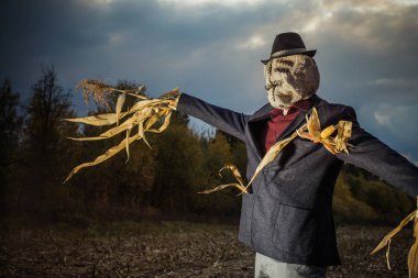 Korkuluk sonbahar tarlasında duruyor akşam gökyüzüne karşı