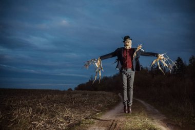 Korkuluk sonbahar tarlasında duruyor akşam gökyüzüne karşı