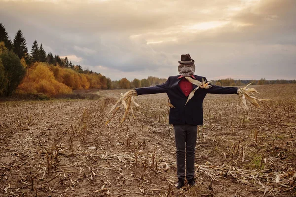 Scarecrow stands in the autumn field against the evening sky — Stock Photo, Image