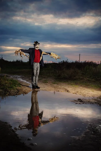 Scarecrow stands on  country road by  large puddle — Stock Photo, Image