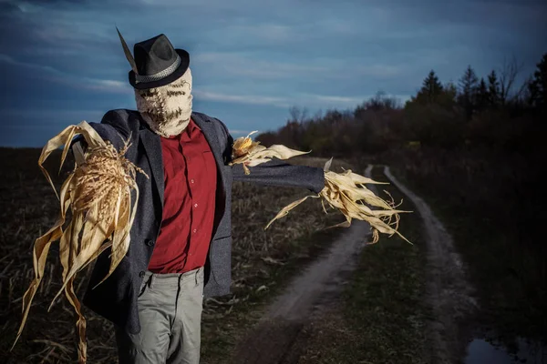 Épouvantail se dresse dans le champ d'automne contre le ciel du soir — Photo