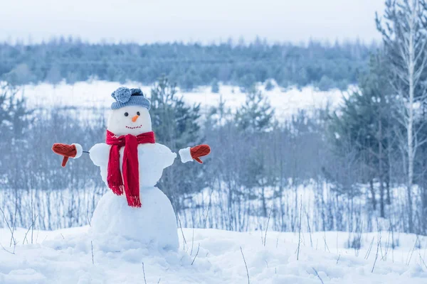 Снеговик в красном шарфе в лесу — стоковое фото