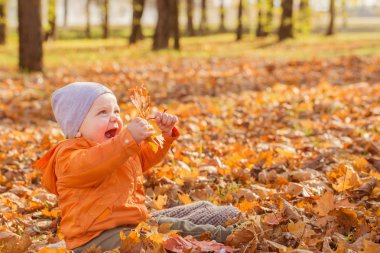 Güneşli sonbahar parkında küçük bir bebek