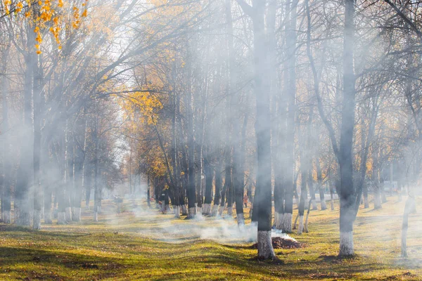 Herbstpark, wo Laub verbrannt wird. Kohlenwasserstoffverschmutzung — Stockfoto