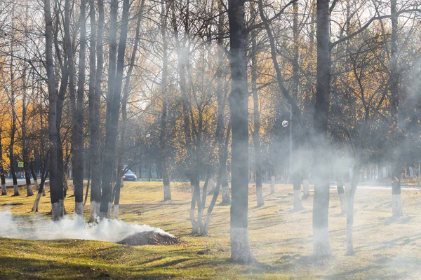 Őszi park, ahol a levelek égnek. Szénhidrogénszennyezés — Stock Fotó