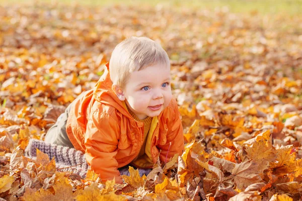 Bambino piccolo nel soleggiato parco autunnale — Foto Stock