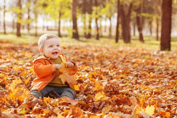 Pequeno bebê no ensolarado parque de outono — Fotografia de Stock