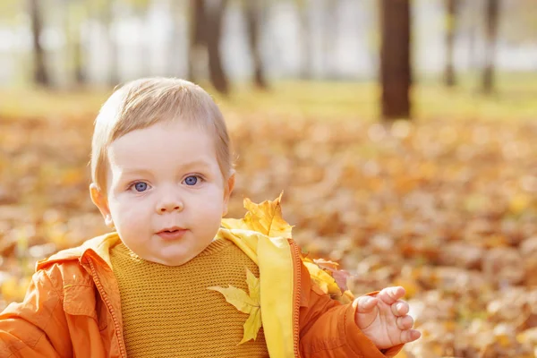 Little baby in sunny autumn park — Stock Photo, Image
