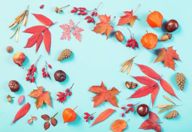 mavi kağıt arka plan üzerinde sonbahar yaprakları