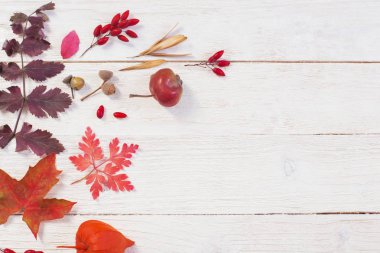 sonbahar dekorasyonu ile sonbahar doğal ahşap arka plan