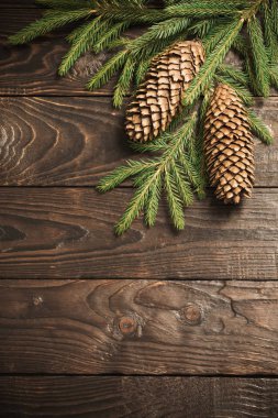 fir branches and cone on dark old wooden background 