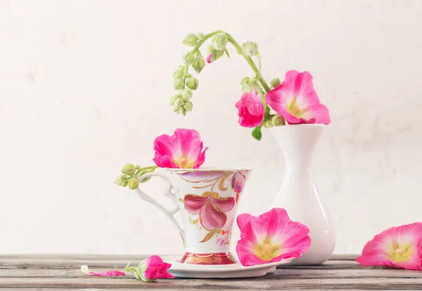 Still life with pink mallow on white background — Stock Photo, Image