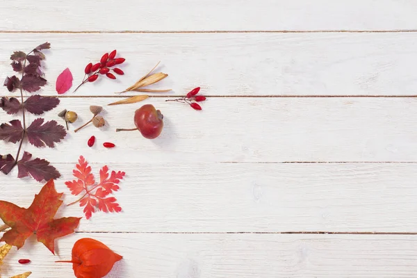 Autumnal natural wooden background with autumn decoration — Stock Photo, Image