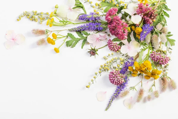 wildflowers on white paper background