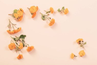 sarı kağıtta turuncu kasımpatı