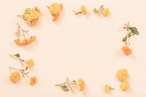 Crisântemos laranja sobre fundo de papel amarelo — Fotografia de Stock