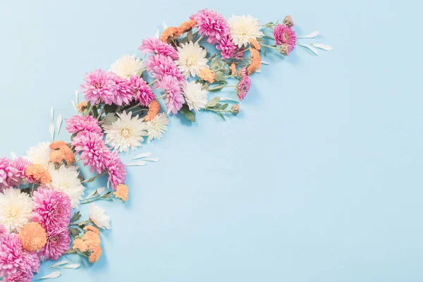 Hermosos crisantemos sobre fondo de papel azul —  Fotos de Stock