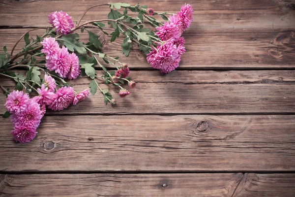 Pink chrysanthemums on dark wooden background — Stock Photo, Image