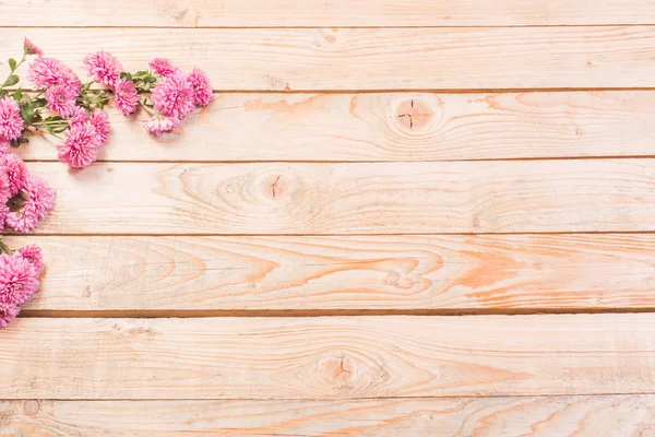 Crisantemos rosados sobre fondo de madera —  Fotos de Stock