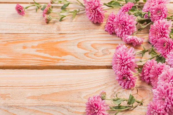 Chrysanthèmes roses sur fond en bois — Photo