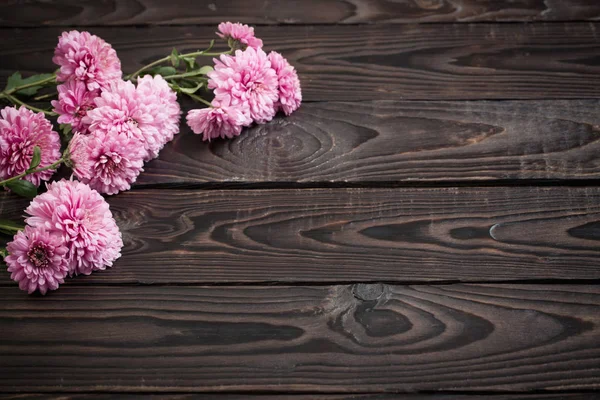 Różowe chryzantemy na ciemnym drewnianym tle — Zdjęcie stockowe