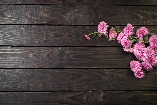 Koyu ahşap arka planda pembe kasımpatılar. — Stok fotoğraf