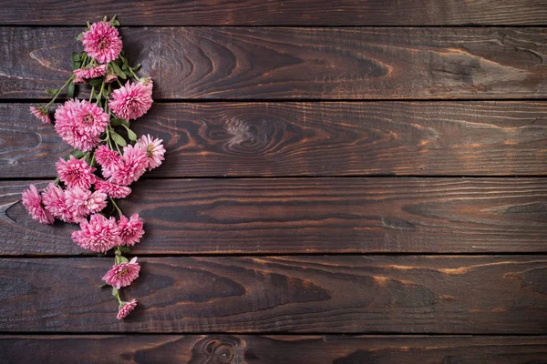 Růžové chryzantémy na tmavém dřevěném pozadí — Stock fotografie