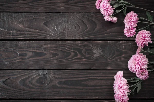 Růžové chryzantémy na tmavém dřevěném pozadí — Stock fotografie