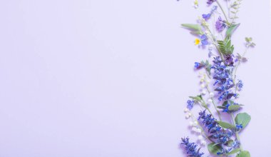 Mavi arka planda güzel yaz çiçekleri