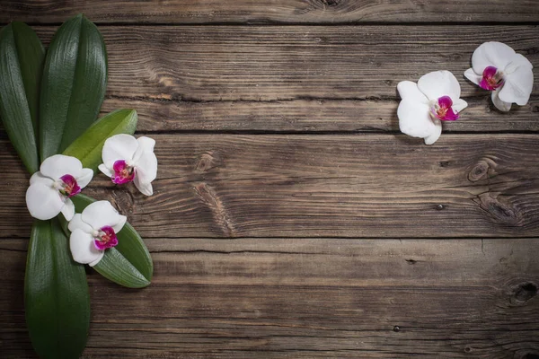 Красивые Орхидеи Старом Деревянном Фоне — стоковое фото