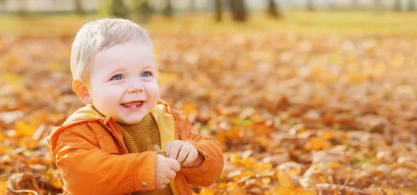 Kleine Baby Zonnig Herfstpark — Stockfoto