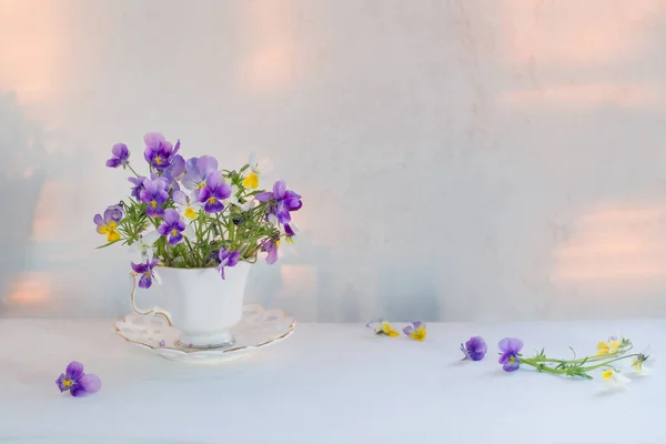 Beyaz Arka Planda Beyaz Bardakta Viyola Çiçekleri — Stok fotoğraf
